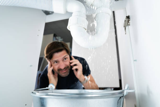Best Pipe Repair Near Me  in Flora, IL