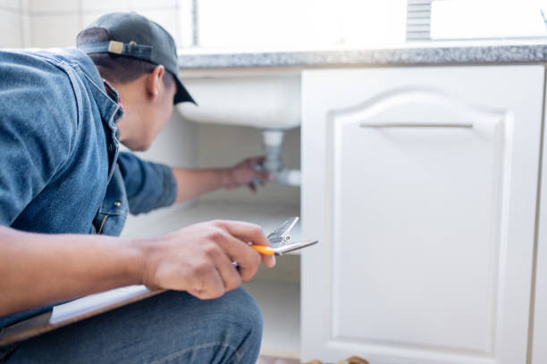 Best Plumbing Inspection Services  in Flora, IL