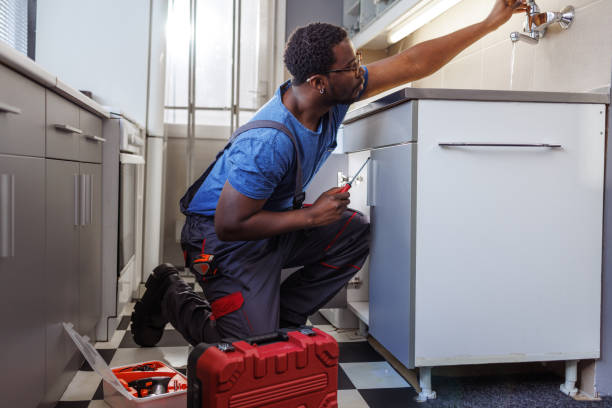 Best Same-Day Plumbing Service  in Flora, IL