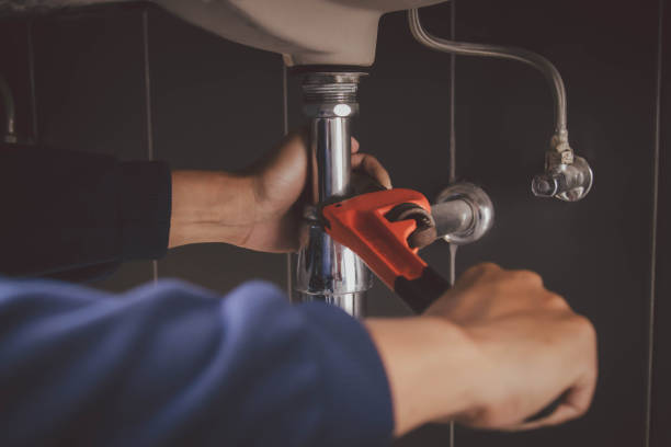 Best Clogged Drain Plumber  in Flora, IL